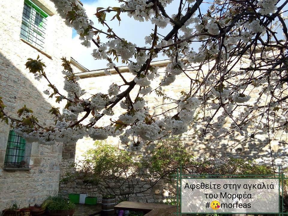 Morfeas Guesthouse Papigko Exterior foto